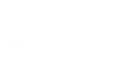 Orellis Logistic